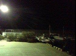 泉南エリアでランガンアジング、オレンジ系カラーが強かった！