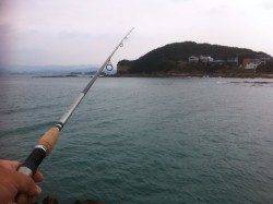 白浜周辺での投げ釣り釣果