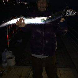 南港でタチウオワインド、諦めかけた頃に指5本サイズ