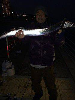 南港でタチウオワインド、諦めかけた頃に指5本サイズ