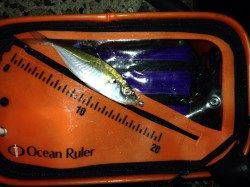 岸和田でのアジング新規開拓釣果