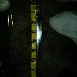 西宮浜　ウキ釣り＆ワインドでのタチウオ狙い