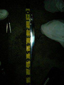 西宮浜　ウキ釣り＆ワインドでのタチウオ狙い