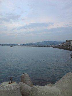 深日漁港にてエギングあきらめた後のメバル