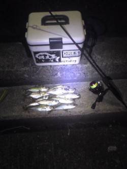 大阪南港でアジング　底でなんとかキープです…