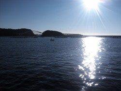 期待をこめて串本へエギング釣行！