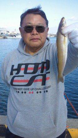 佐野　投げの引き釣りで24cmの良型キスも出た