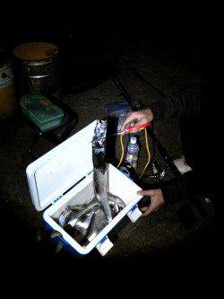 貝塚でワインド＆ちょい投げでタチウオとハゼの釣果