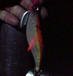 田ノ浦漁港でエギング、あがってきたのはタコ