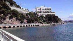 田ノ浦でのデイエギング、コウイカの釣果