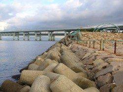 りんくうアジング、帰り際に小ダイとアジ