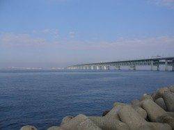 りんくう　アジングのアジは不発　周りは青物の姿アリ