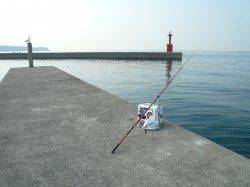 江井漁港の投げ釣りでキスのお土産確保