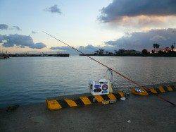 淡路東浦投げ釣り釣行　雨の佐野漁港内でキス15匹