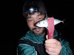 連夜の淀川河口へアジング釣行