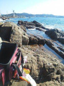 御坊カツオ島沖の鼻へ、グレ25cmUP６匹をキープ