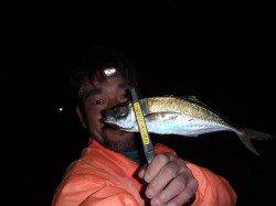 淀川河口、やっと出ましたジャンボサイズのアジが♪