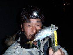 １時間半のアジング　順調に釣れ続けて22匹！