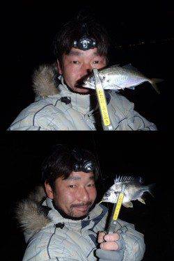 淀川河口でアジングゲーム！風強いです…