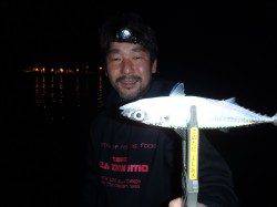 アジ5人で100匹オーバー、サバの猛攻も楽しめました♪