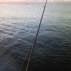 ウキとケミホタルが横移動! 早朝の時合タチウオ5本