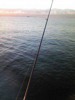 ウキとケミホタルが横移動! 早朝の時合タチウオ5本