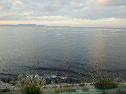 ベタ凪でエギング日和、谷川漁港でアオリイカ