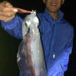 有田地磯　夕方からのエギングで友人とアオリイカ狙い