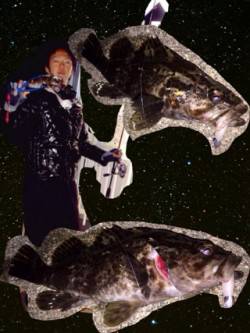 泉佐野でタケノコメバルの釣果