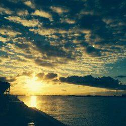 兵庫突堤夕方から太刀魚釣り、14匹ゲット！