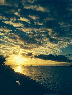 兵庫突堤夕方から太刀魚釣り、14匹ゲット！