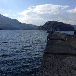 音海大波止でズボ釣り、ガシラ・チャリコ・マダイ