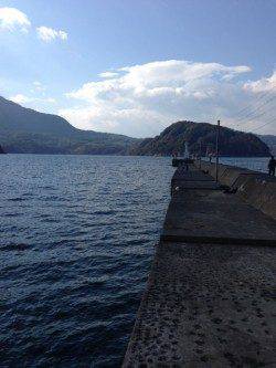 音海大波止でズボ釣り、ガシラ・チャリコ・マダイ