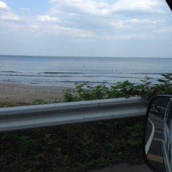 音海にて、サビキはフグの猛攻・ウキ釣りにタイ