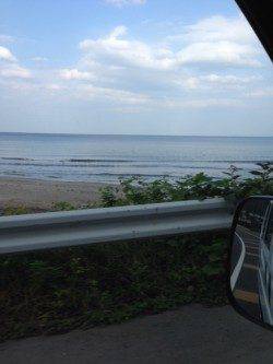 音海にて、サビキはフグの猛攻・ウキ釣りにタイ