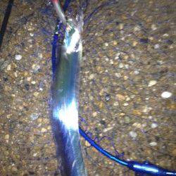 本荘人工島ルアーでタチウオ、早朝の方が良型でした