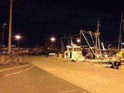 新浜漁港でサビキ　メバルとガシラの釣果