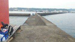 串本港でカゴ釣りでアジ&キス、本命マダイは不発