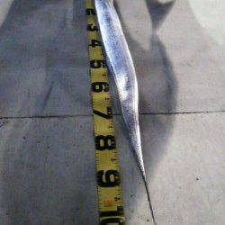 西宮ケーソンでタチウオワインド　メートル超がHIT！