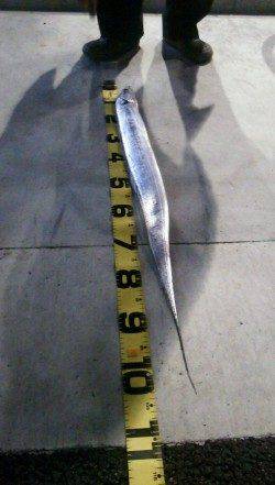 西宮ケーソンでタチウオワインド　メートル超がHIT！