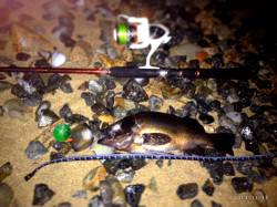 アジュール舞子でメバル25㎝！