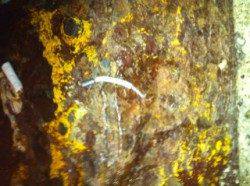 スローリトリーブで毎投アタリ！ 丸山でアジング