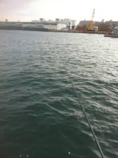 北公園でエビ撒きハネ釣り…釣果はアジ・メバルのみ