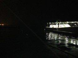 須磨　カレイ狙いもアナゴの釣果　リリースサイズを含め20匹