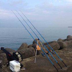 早朝から落ちギスを狙いに深日港へ