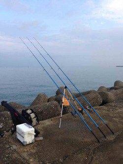 早朝から落ちギスを狙いに深日港へ