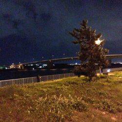 岸和田、仕事終わりアジング　☆1時間で10匹☆