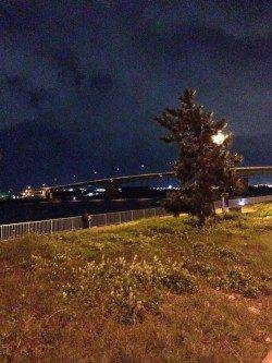 岸和田、仕事終わりアジング　☆1時間で10匹☆