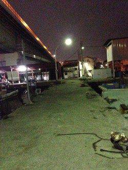 岸和田でアジング、フォールでアタリが集中★