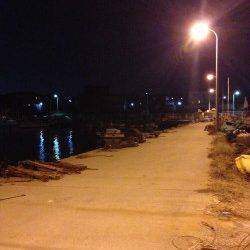 阪南エリアでアジング、コンスタントに釣れ続きました